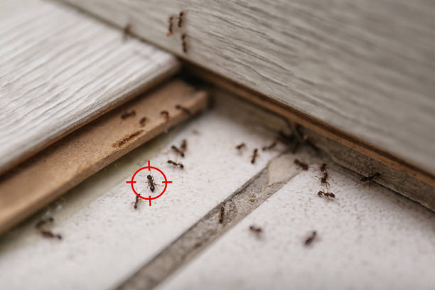 Oglethorpe, GA Pest Control Company