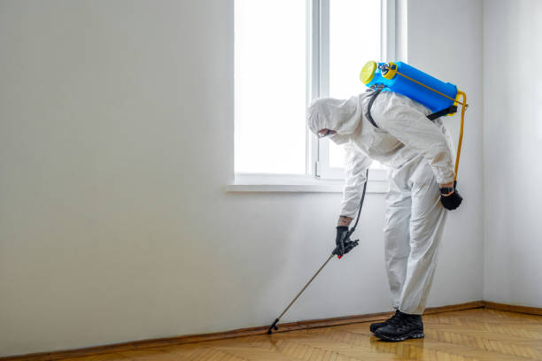 Best Affordable Pest Control Services  in Oglethorpe, GA